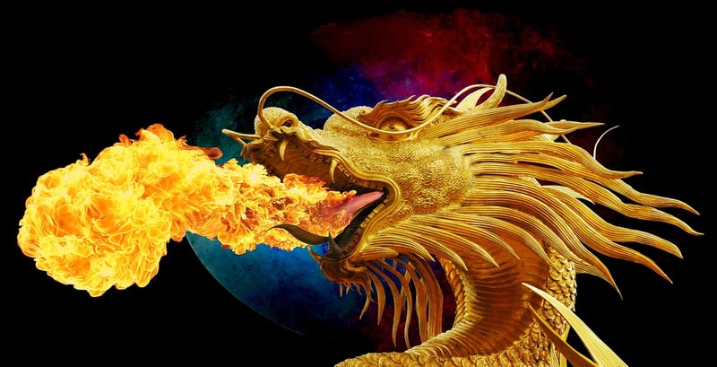 Dragon Fire Grilled