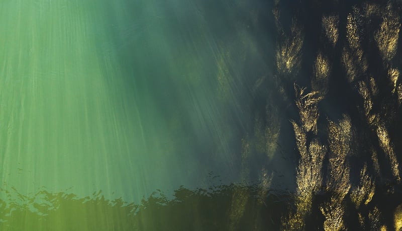 Underwater Paradise